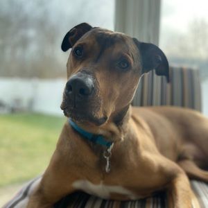 Meet your Posher, Michael